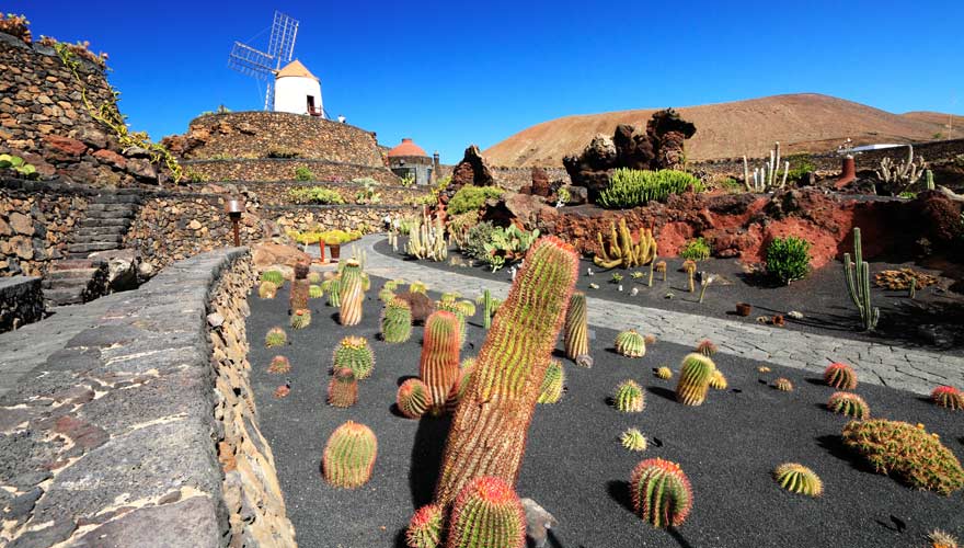 Eine Sehenswürdigkeiten von Cesar Manrique auf Lanzarote: Jardin de Cactus