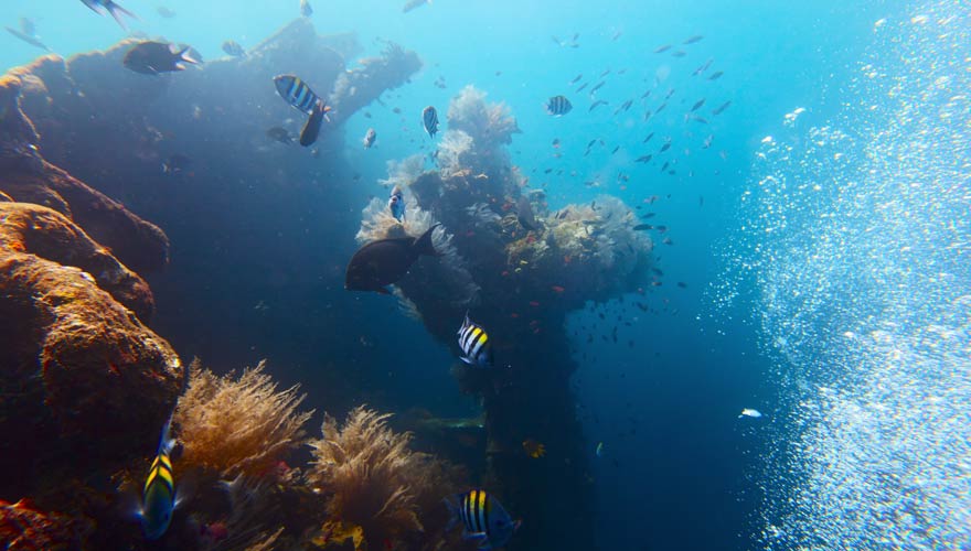 USAT Liberty, Tulamben,, Bali