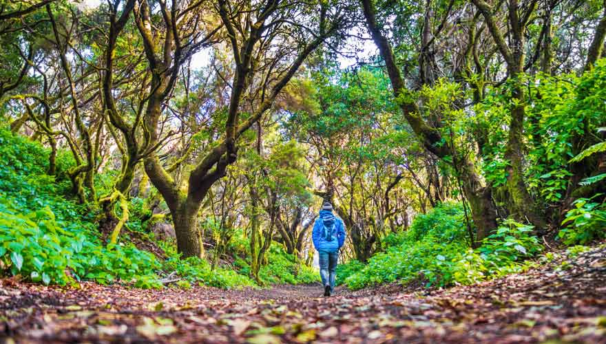 Wandern auf der kanarischen Insel El Hierro
