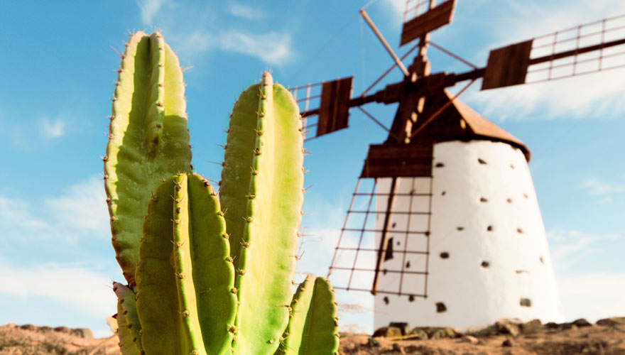 Windmühle auf Fuerteventura