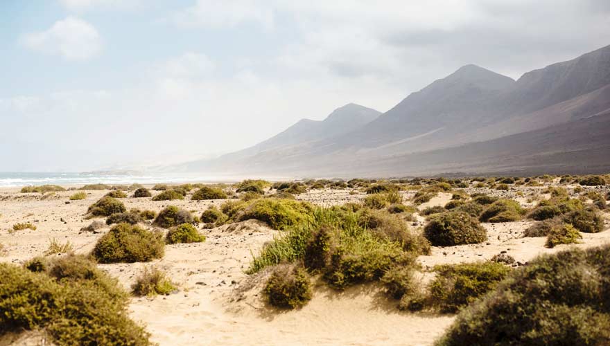 Playa de Cofete auf der kanarischen Insel Fuerteventura