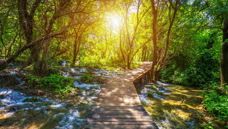 Wanderweg in den Plitvicer Seen