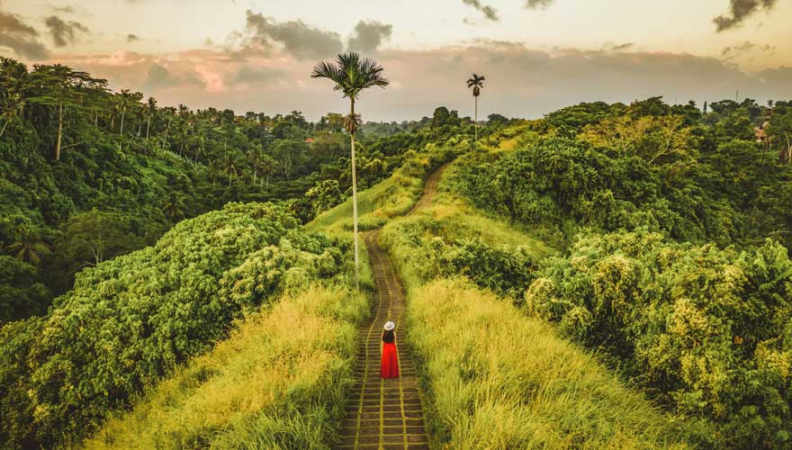 Campuhan Ridge Walk in Ubud