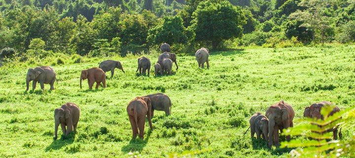 Nationalparks in Thailand