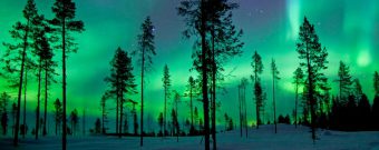 Polarlichter sehen