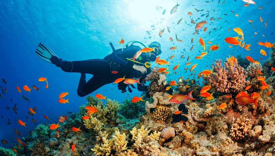 Tauchen im Roten Meer in Ägypten