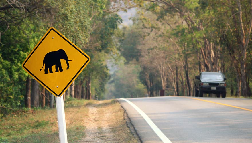 Anfahrt zum Erawan Nationalpark