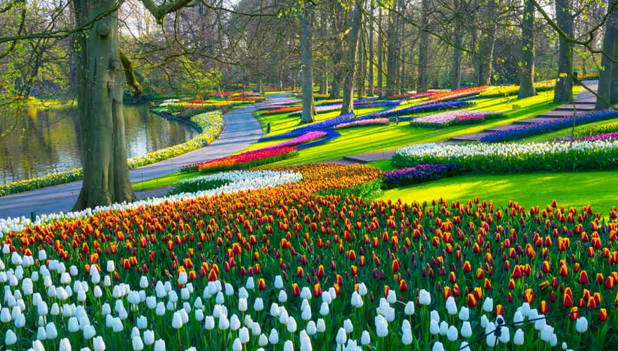 Berühmter Keukenhof bei Nordwijk in den Niederlanden