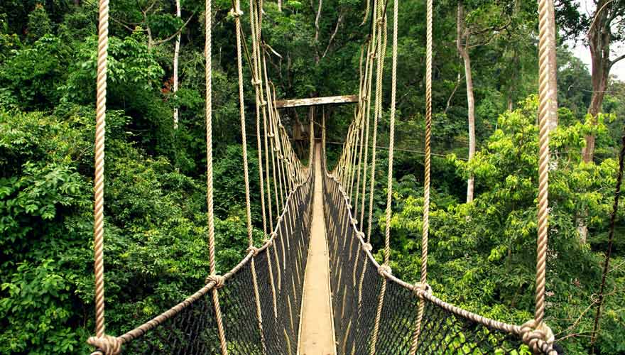 Reisehoroskop 2020 für den Stier: auf nach Ghana!