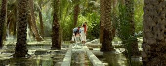 Abu Dhabi Ausflüge und Aktivitäten