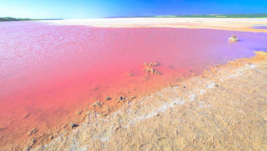 Die Hutt Lagoon ist mit dem Pink Lake in Australien ein außergewöhnlicher Ort