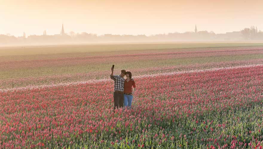 Selfie im Tulpenfeld in Holland