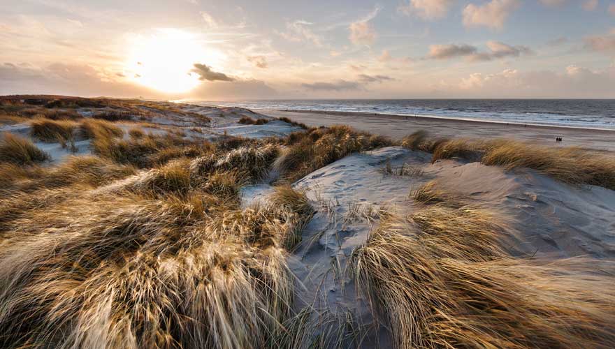 Goldene Dünen von Scheveningen in den Niederlanden