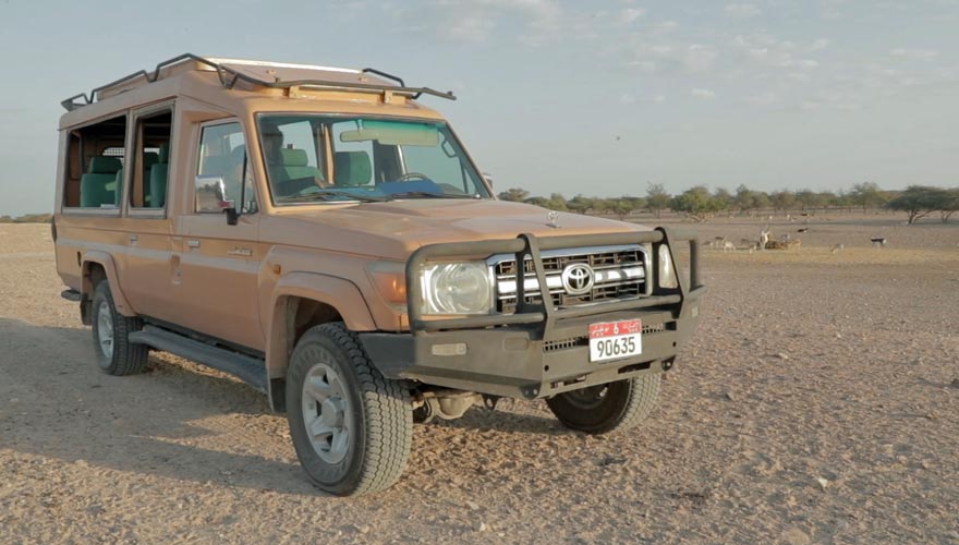 Jepp-Safari auf Sir Bani Yas Island
