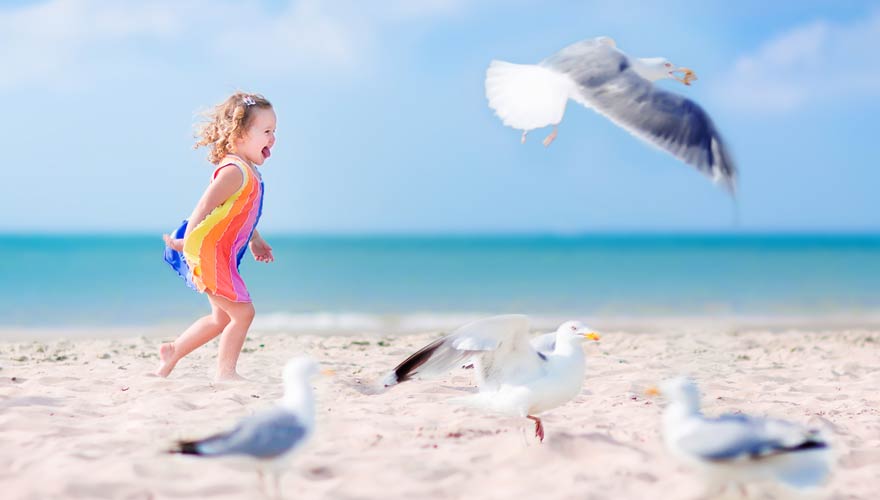 Kind am Strand in Holland