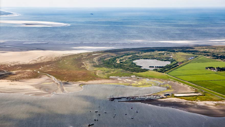 Die Insel Schiermonnigkoog in Holland