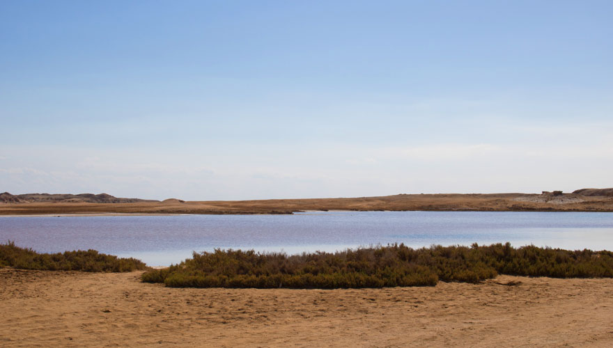 Salzsee im Ras Mohammed Nationalpark