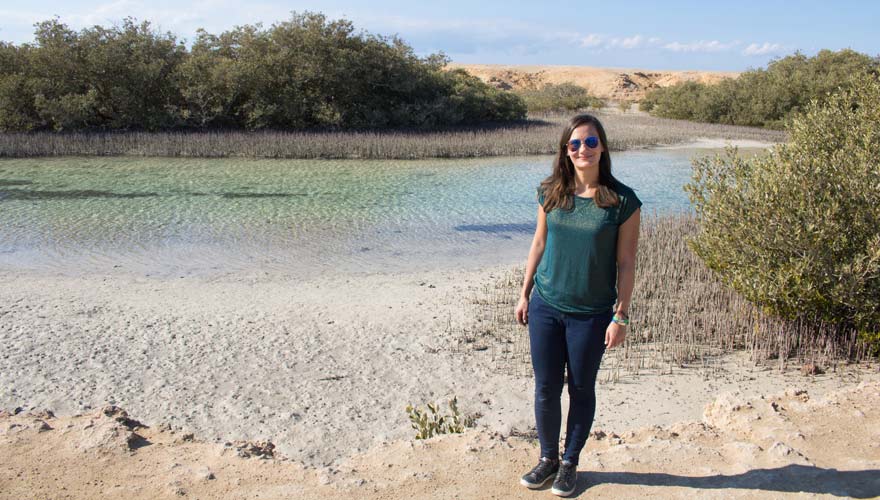 Mangrovenwald im Ras Mohammed Nationalpark