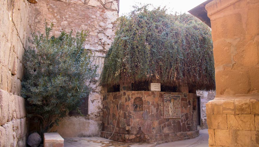 Brennender Dornbusch im Katharinenkloster