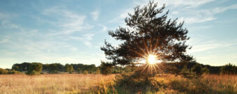 Deutschlands schönste Urlaubsregionen