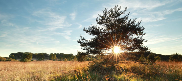 Deutschlands schönste Urlaubsregionen