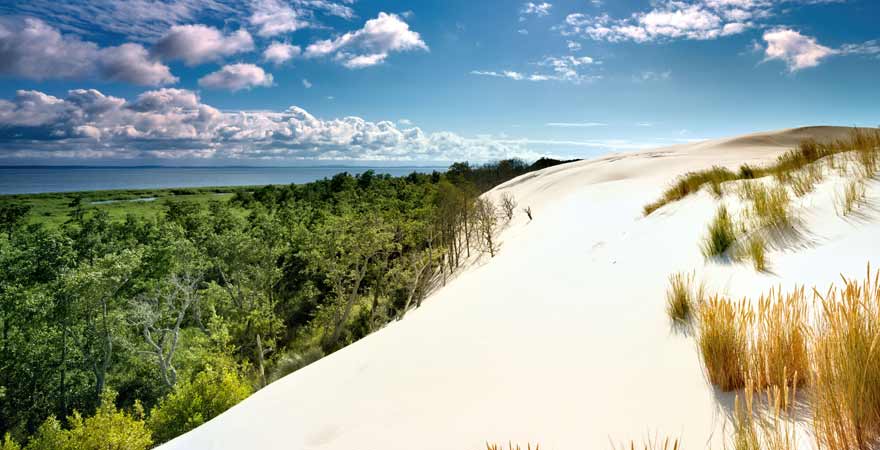 Sanddüne in Leba in Polen