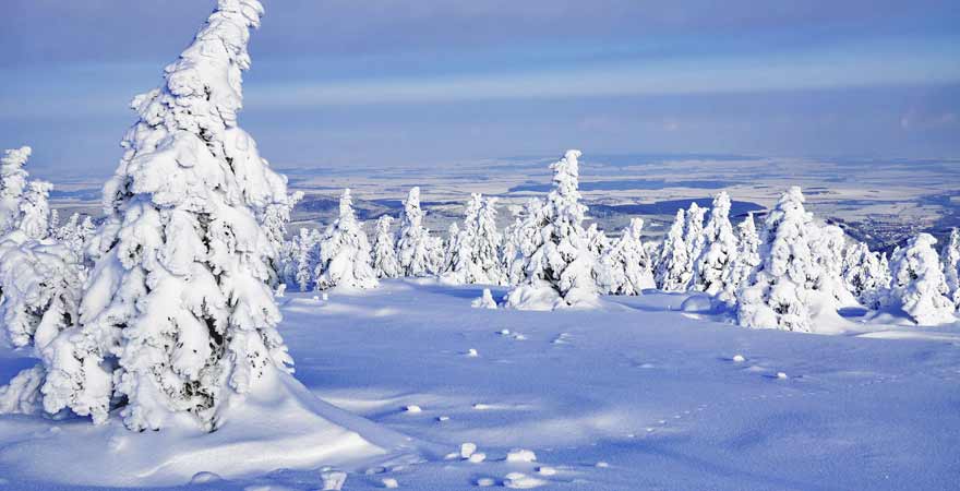 Harz im Winter