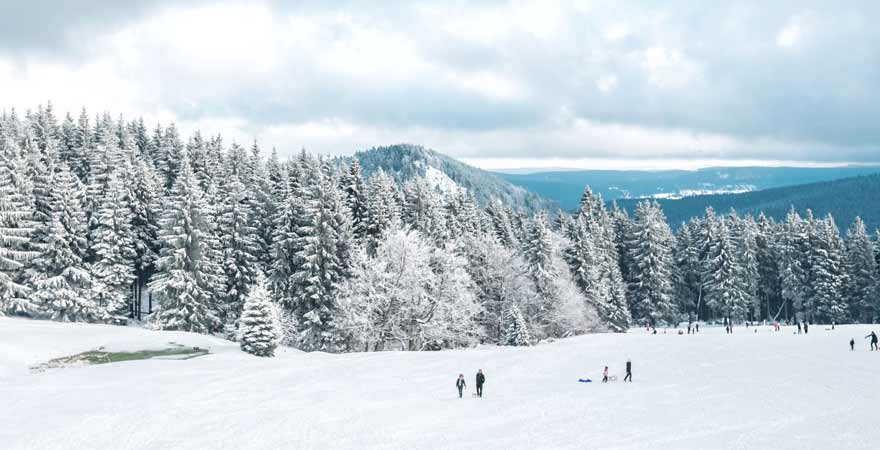 Thüringer Wald im Winter