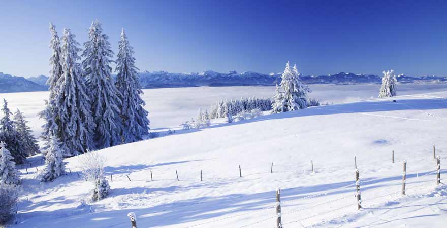 Winter im Allgäu