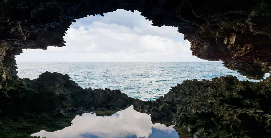 Animal Flower Cave auf Barbados