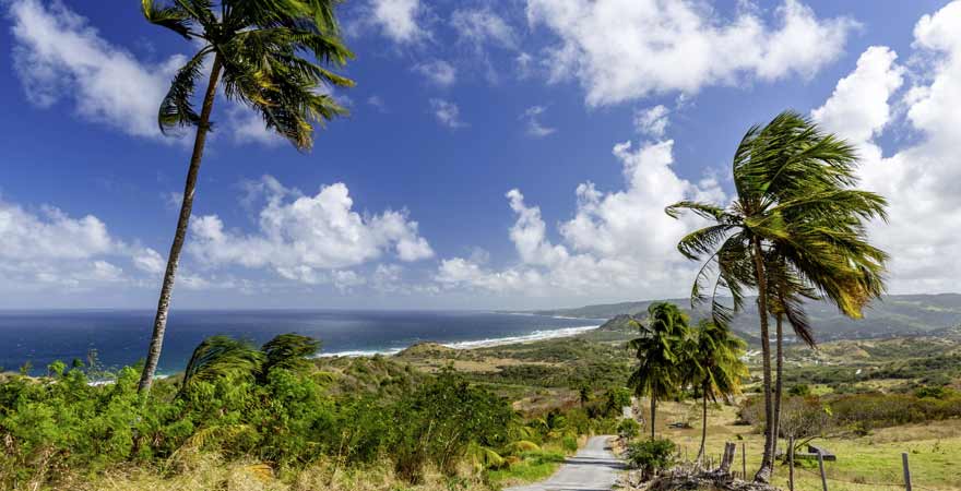 Cherry Tree Hill auf Barbados