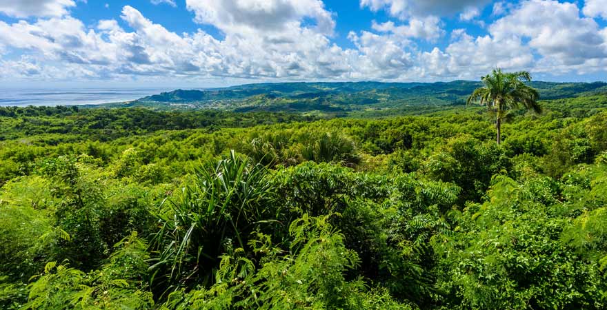 Farley Hill Nationalpark auf Barbados