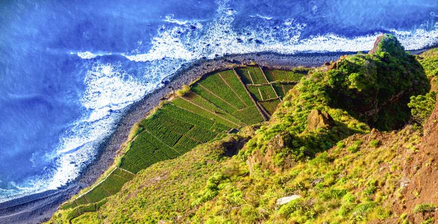 Blick auf Felder am Meer vom Cabo Girao auf Madeira