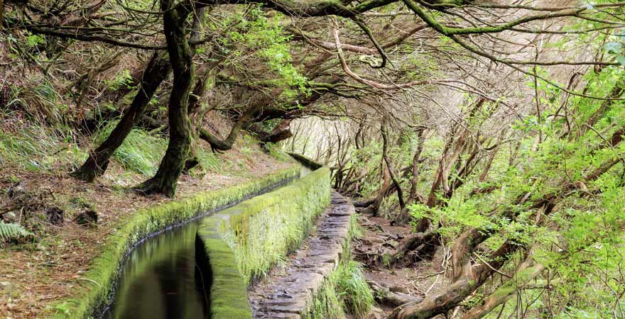 Madeira Wanderweg 25 Fontes in Portugal