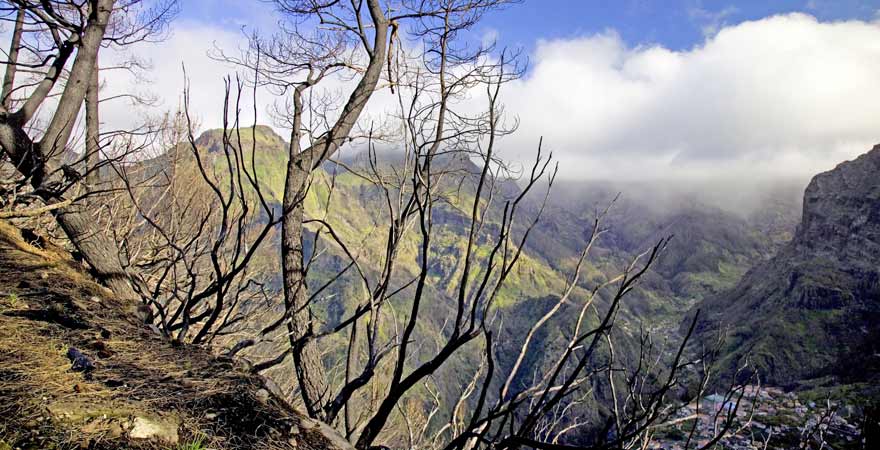 Nonnental auf Madeira