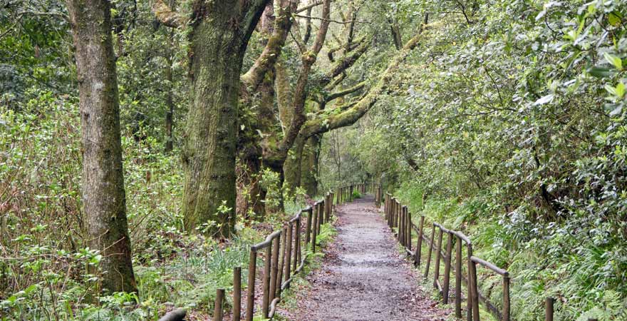 Queimadas auf Madeira