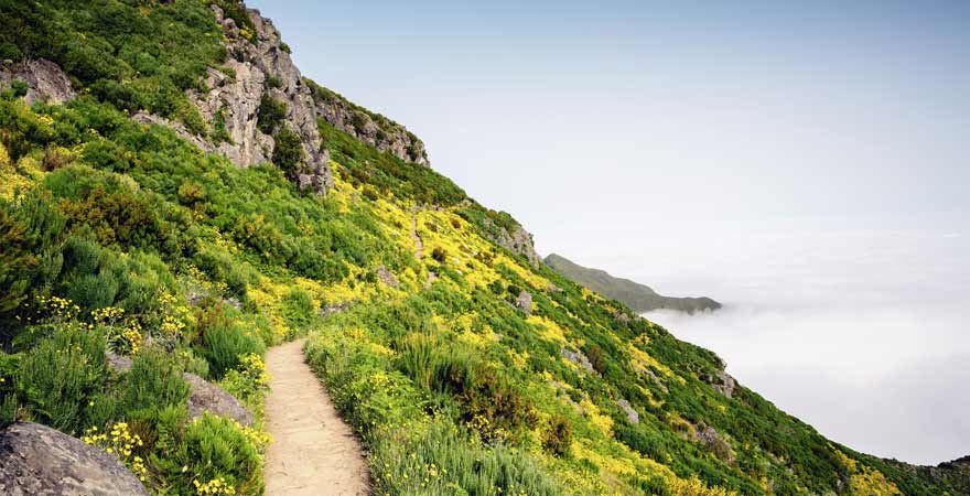 Wanderweg zum Pico Ruivo auf Madeira