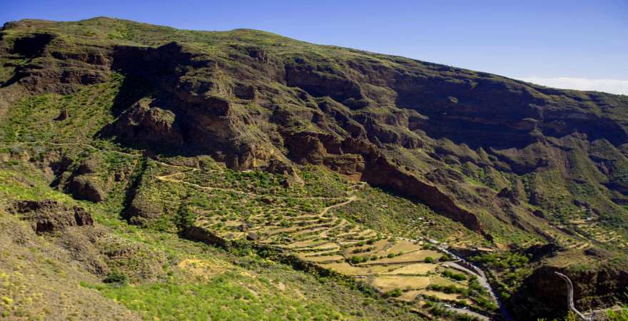 Die grüne Schlucht des Barranco de Guayadeque