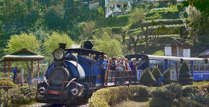 Eine Dampflok zieht den historischen Zug durch Darjeeling