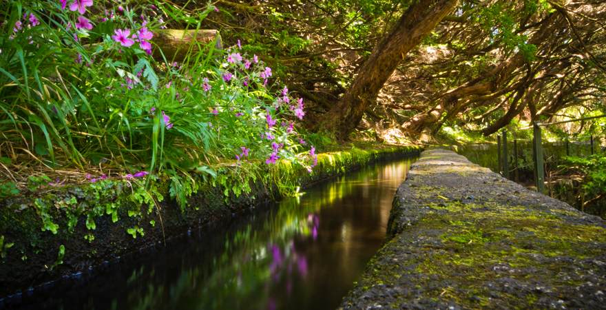 Levadas auf der Wanderroute von Rabacal zum Wasserfall