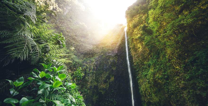 Der Wasserfall Risco auf Madeira zwischen grünen Klippen