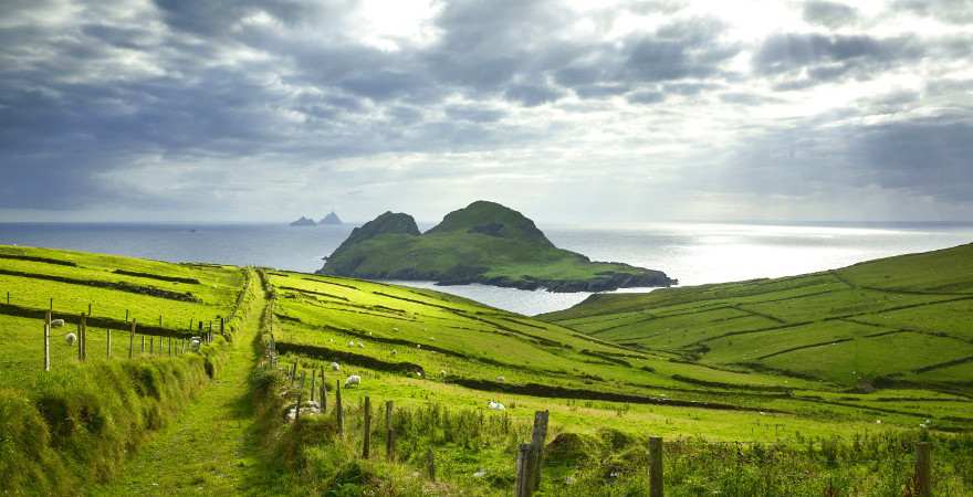 Blick über grüne Wiesen in Irland zum Meer