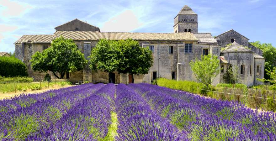 Blühendes Lavendelfeld vor einem Kloster