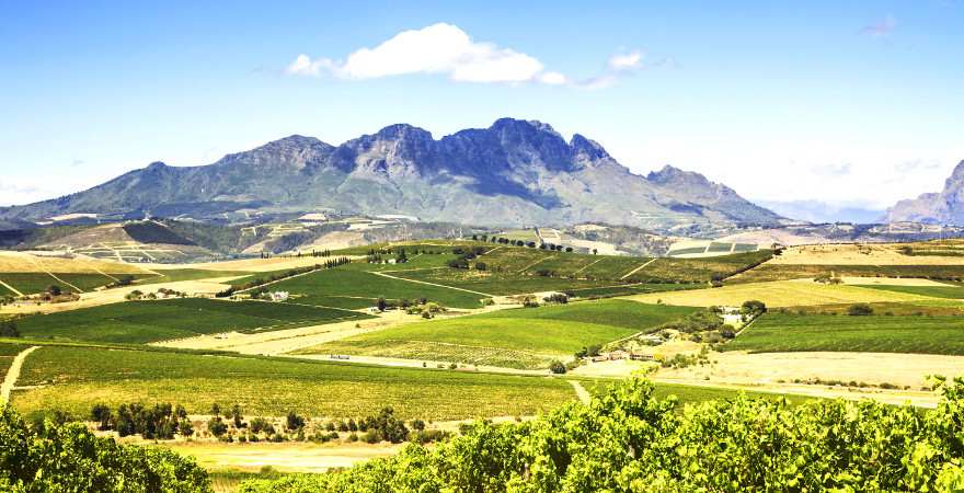 Blick ueber en weites Tal mit Weinbergen mit dem Tafelberg im Hintergrund