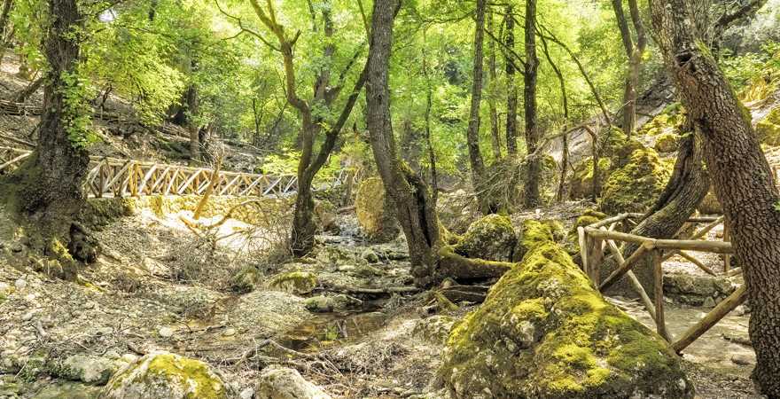 Tal der Schmetterlinge auf Rhodos