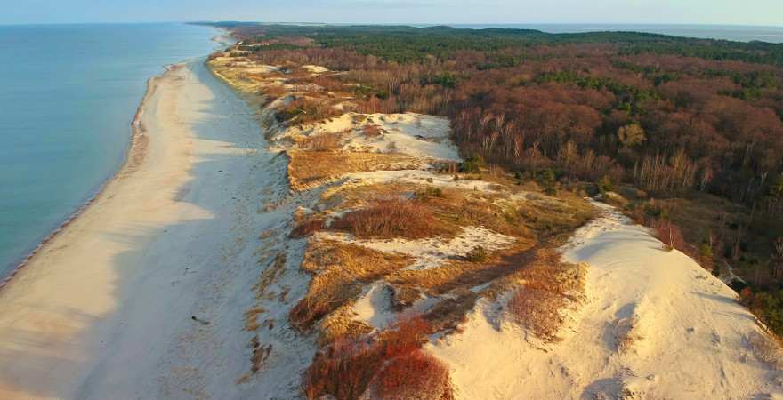 Ein Langer Strand mit Dünen und Wald aus der Luft