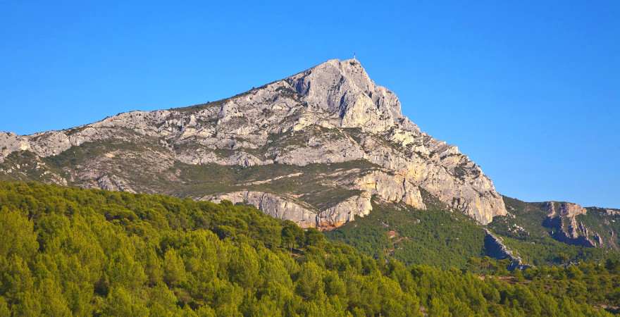 Der Gipfel des Mont Sainte Victoire ragt über einen Wald