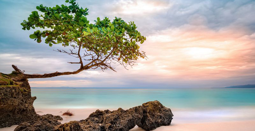 Bacardi Insel Cayo Levantado