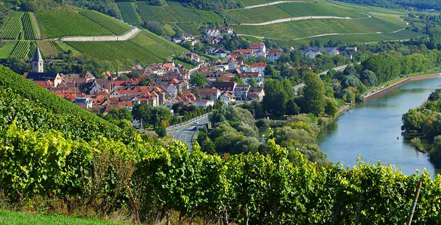 Blick auf Weinberge in Randersacker am Main