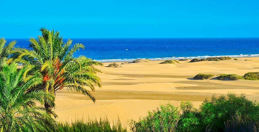 Dünen von Maspalomas auf Gran Canaria
